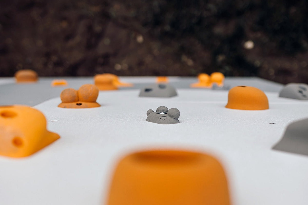 Kletterwand BK OUTDOOR aus 6 Teilen | 236 cm x 234 cm | inkl. 45 Griffen | 120 Loch - Kletterling – einfach Kind sein