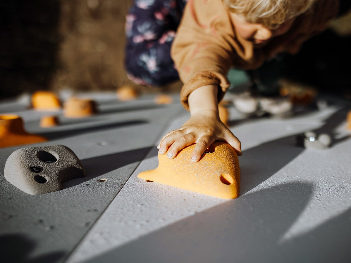 Kletterwand BK OUTDOOR aus 10 Teilen | 236 cm x 390 cm | inkl. 75 Griffen | 200 Loch - Kletterling – einfach Kind sein