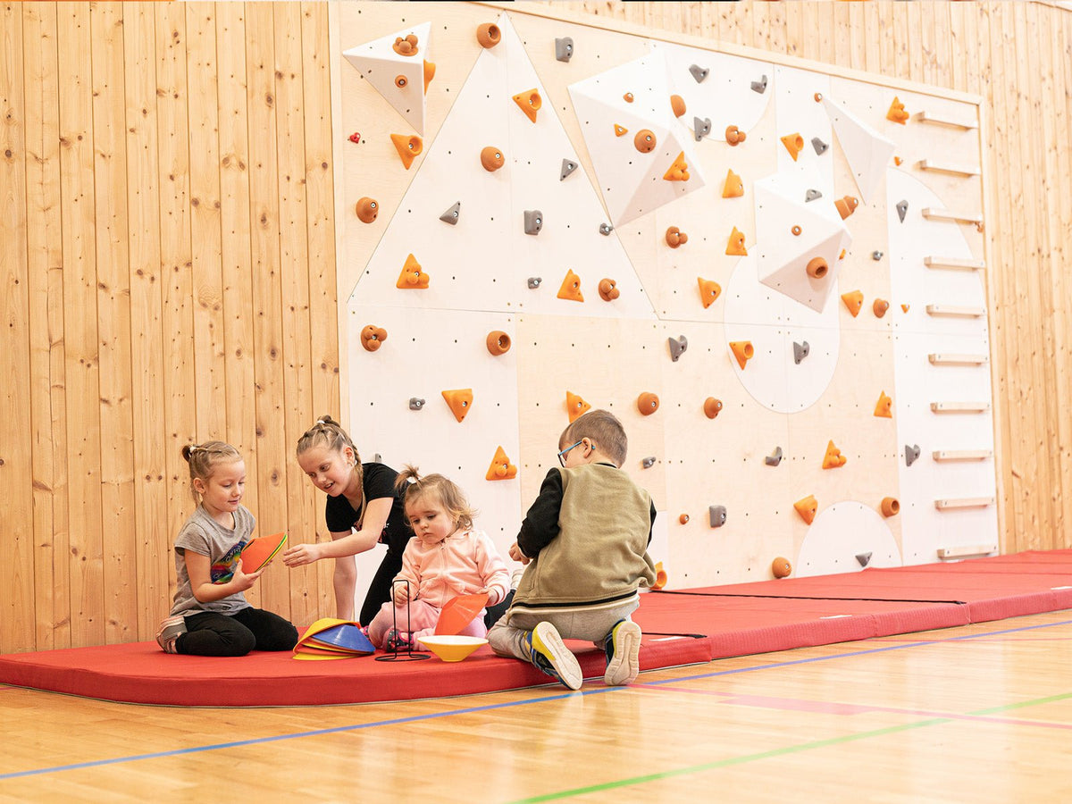 Kletterwand BK INDOOR aus 10 Teilen | 236 cm x 390 cm | inkl. 75 Griffen | 200 Loch - Kletterling – einfach Kind sein
