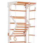Kletterwand für die ganze Familie – Klettergerüst Indoor aus Holz mit Wand-Reck, Stange, Gymnastikringen, Kletterseil, schwe…