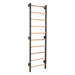 Metallische Sprossenwand STEEL 1 – Graphit mit Buchenholzsprossen | RINAGYM – Ansicht 1