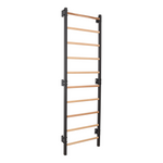 Metallische Sprossenwand STEEL 1 – Graphit mit Buchenholzsprossen | RINAGYM – Ansicht 11