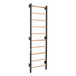 Metallische Sprossenwand STEEL 1 – Graphit mit Buchenholzsprossen | RINAGYM – Ansicht 12