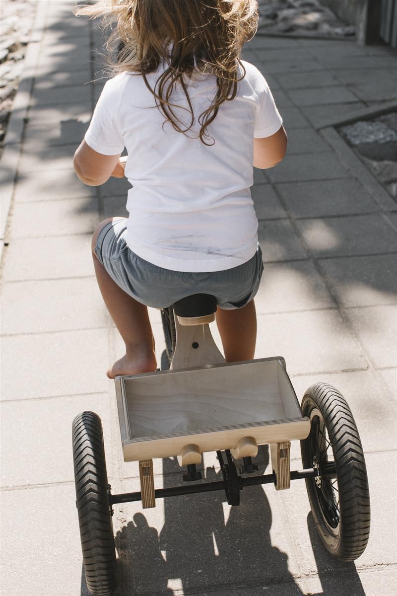 Balance Bike 3in1 aus Holz - mitwachsendes Laufrad für Kinder ab 6 Monaten bis 6 Jahre mit Dreirad Erweiterung