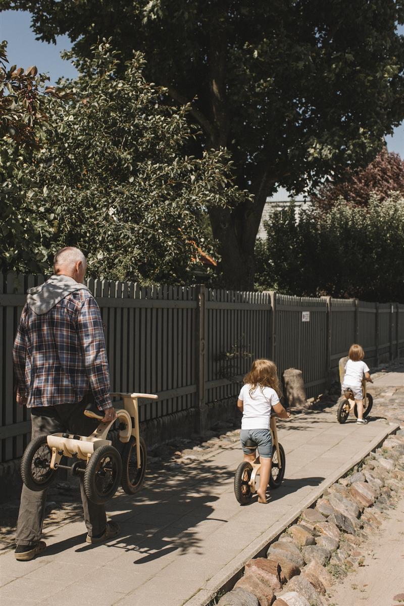 Balance Bike 3in1 aus Holz - mitwachsendes Laufrad für Kinder ab 6 Monaten bis 6 Jahre mit Dreirad Erweiterung